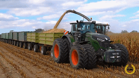 身为|你敢信吗?身为超级强国,居然有3000万美国人在挨饿!