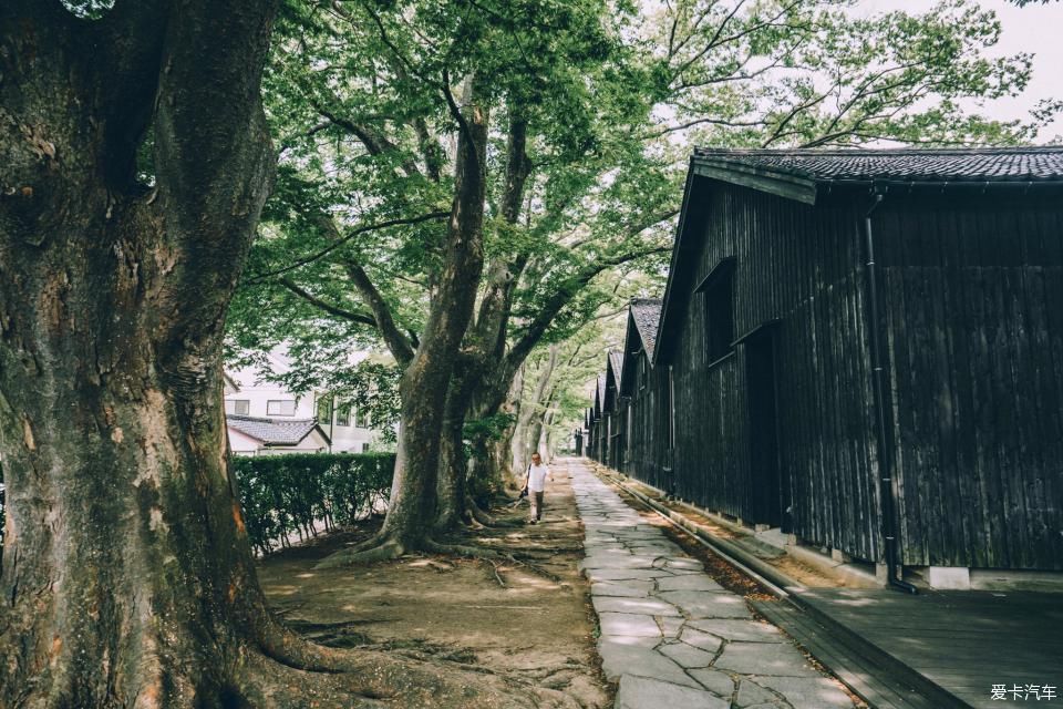 解锁|去鲁迅先生留学的仙台看一看——解锁日本小众目的地