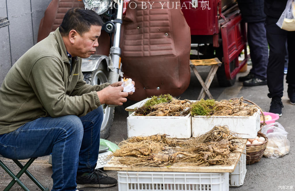 菜市场|中朝边境的长白菜市场，人参像萝卜一样摆地上卖，有的商品真便宜