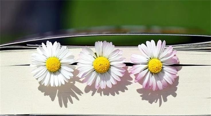 对方|和凤凰男相亲，双方都很满意，过了两天，对方却将俺拉黑