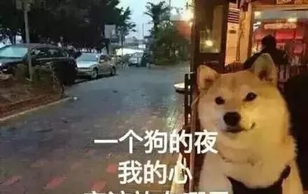  情况|这种情况下，副驾驶没坐人也算违法！