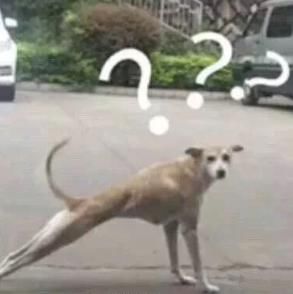  全程|9年驾龄老司机，全程一档跑高速跨两省…民警一问惊了