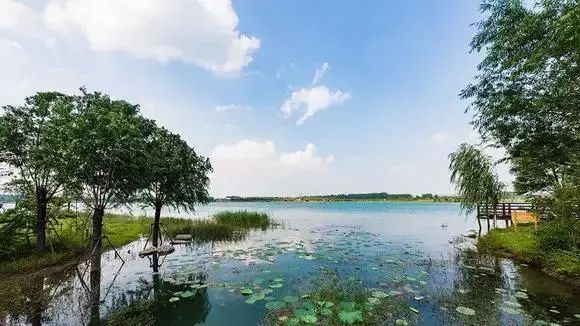  黑板|平阴家长，敲黑板！这堂防溺水安全课要认真学