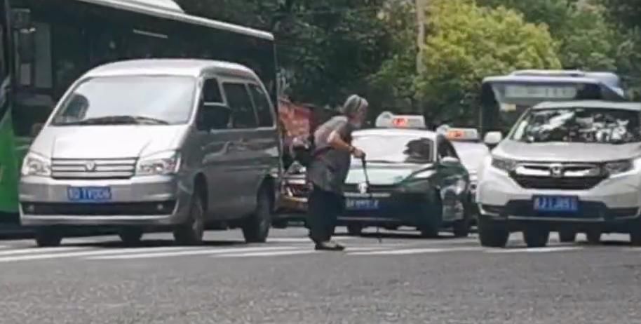 礼让行人|这9秒,好安静!