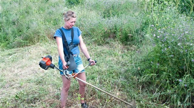驱蚊|亲爱的养殖人,三伏天养殖场驱蚊防蝇迫在眉睫,两步法效果好得很