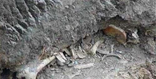  再次出现|1963年，女会计携巨款失踪，再次出现时，她已在水泥地里沉睡21年