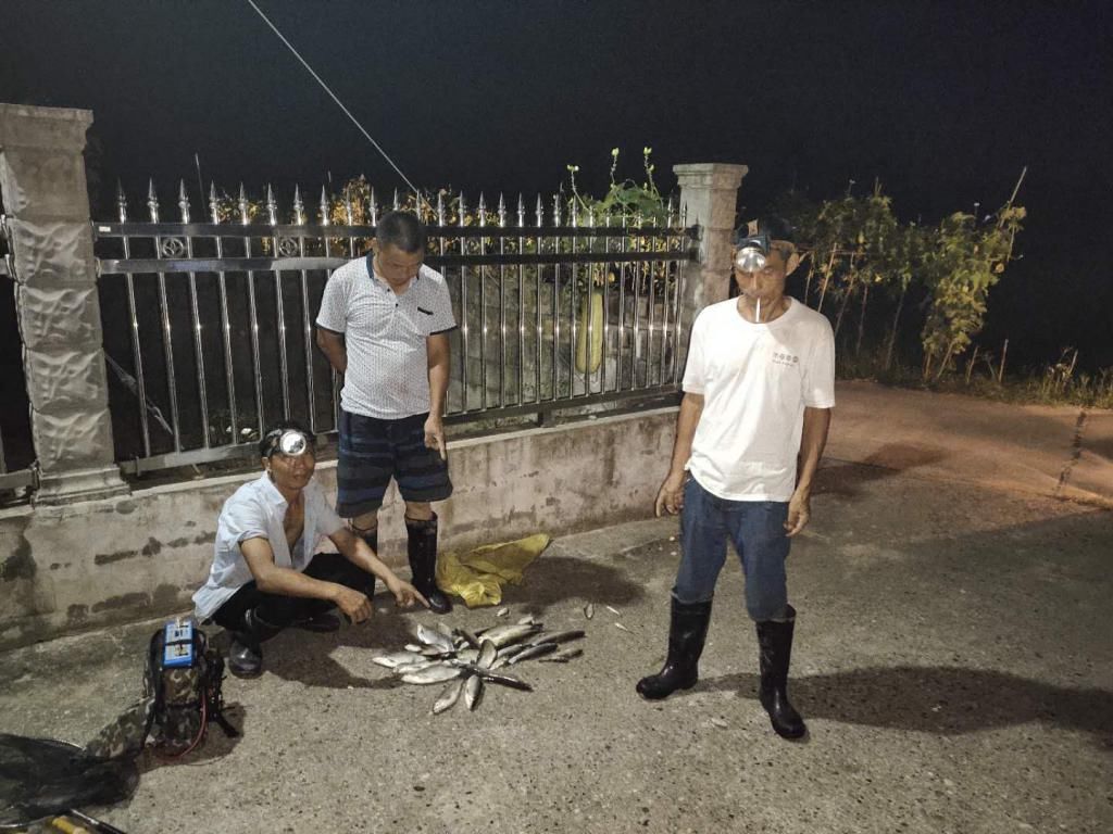  捕捞|非法捕捞，桃源警方再拘2人！