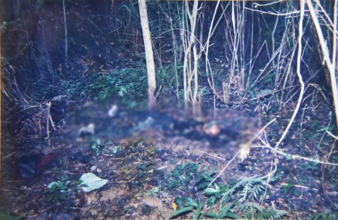  连环|广西17年前连环杀人案告破 犯人供述谋财杀人全过程