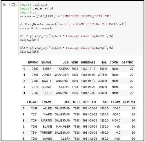  下载|Python冷知识：操作Oracle数据库教程