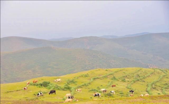 东线|草原天路（四）——东线