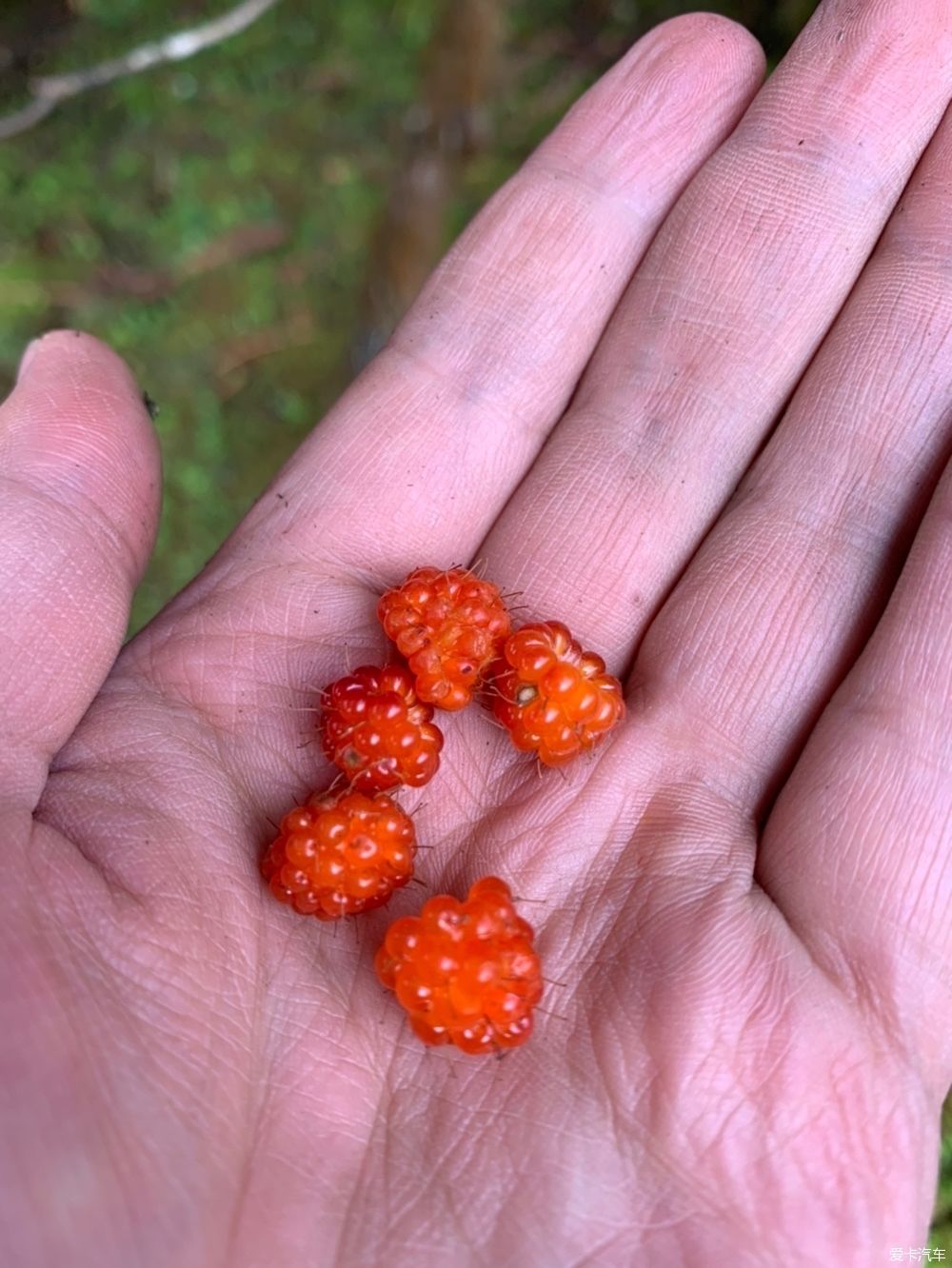  夏天|终于走了宝康线，夏天出行真是拼人品