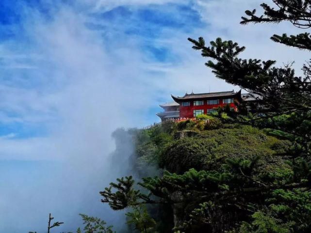  去一趟|避暑王者峨眉山，是时候去一趟了！