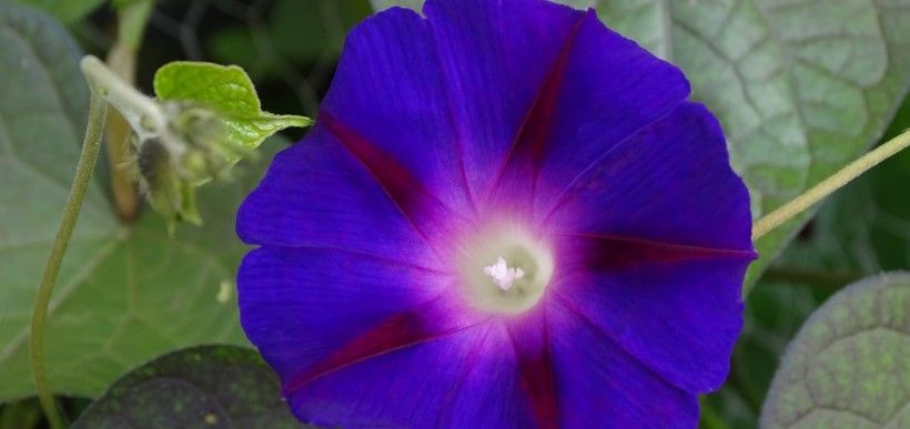 好运|8月将会行好运发大财的4个星座，好运不停，前程似锦