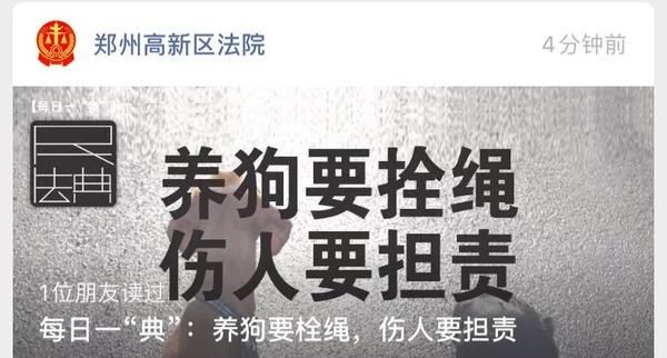 法院|多家法院公号刷屏:养狗要拴绳,伤人要担责