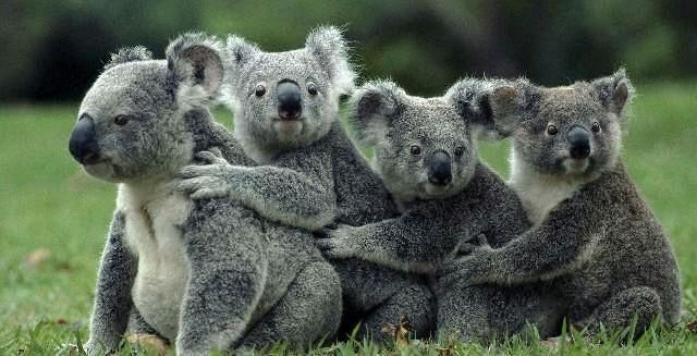  句句|最值得收藏的经典语录，句句深入人心，说出了你的心声