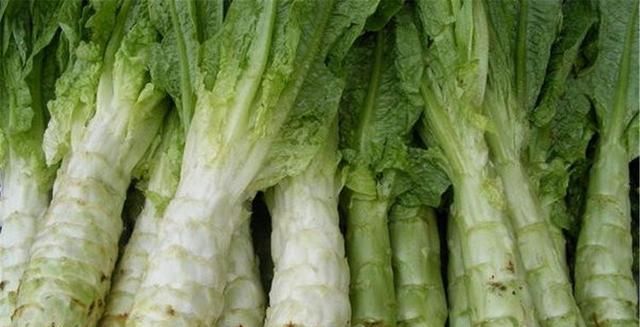  孩子|想要身体长得壮，四种食物适合孩子吃，补充营养，对肠胃有好处