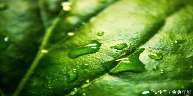 温暖|浅浅擦肩，温暖相遇