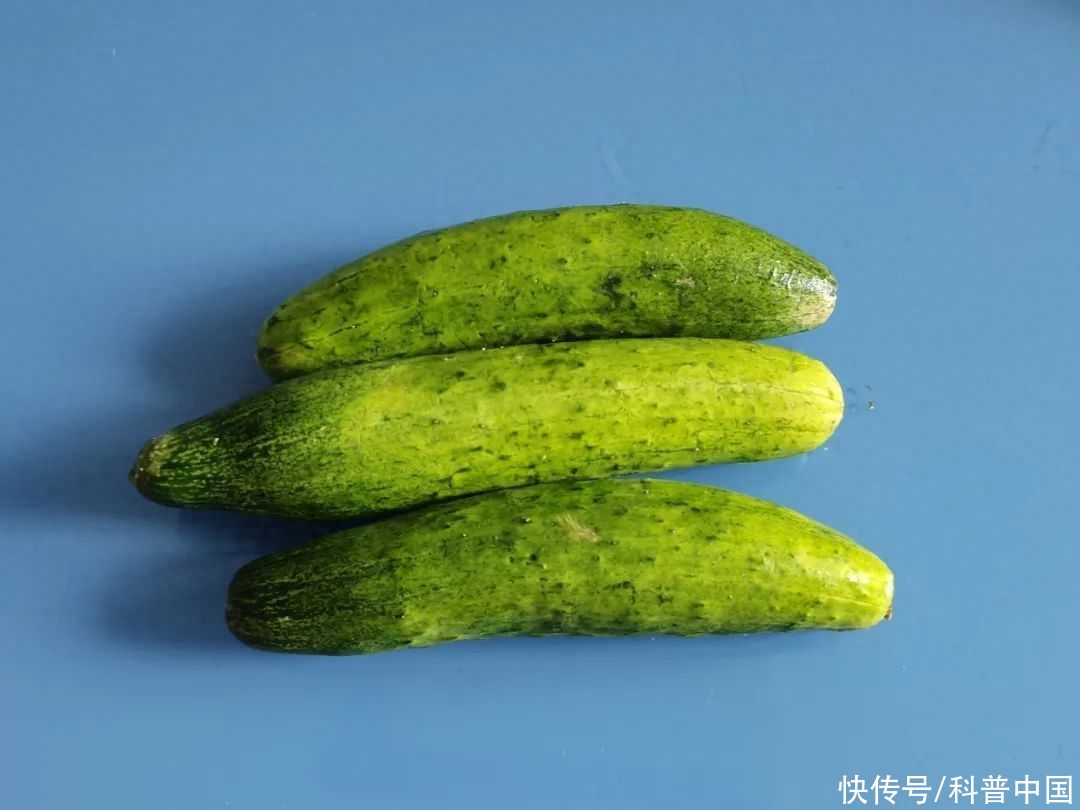 黄瓜可以降血压降血糖吗(每天吃一根黄瓜，身体会发生什么变化？真的降血压、降血糖？)