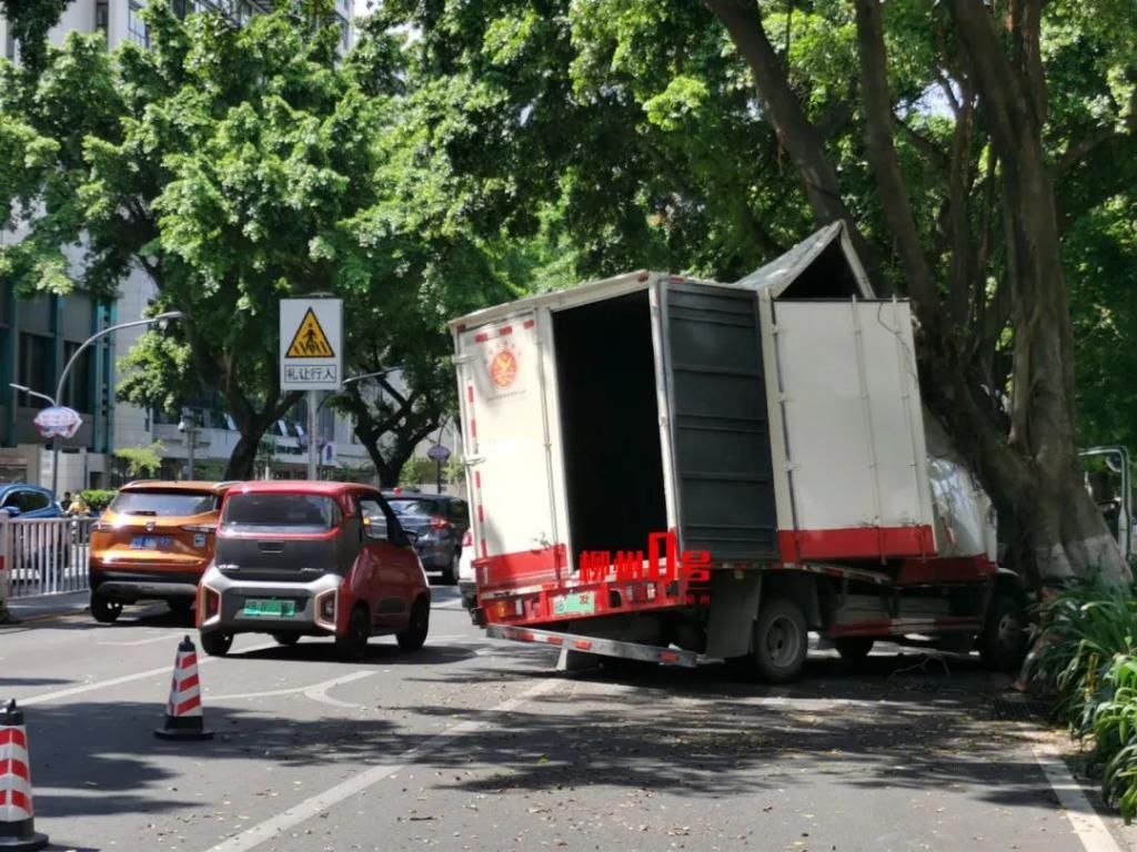  货车|八一路厢式货车撞对树后骑上花圃，车身：我裂开了！