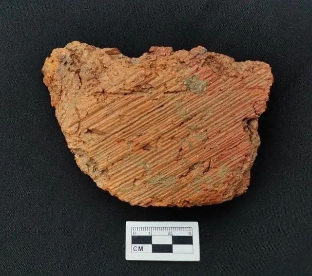  重建|一中学重建足球场，发现3000㎡古墓，单坑19颗头骨