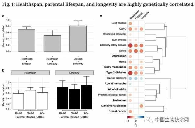 健康|《自然通讯》超大规模研究:血液中铁的水平是健康与衰老的关键