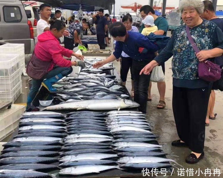 误认为|常常被误认为“低档鱼”,比鲫鱼营养,比鲳鱼还香,不懂吃就亏了