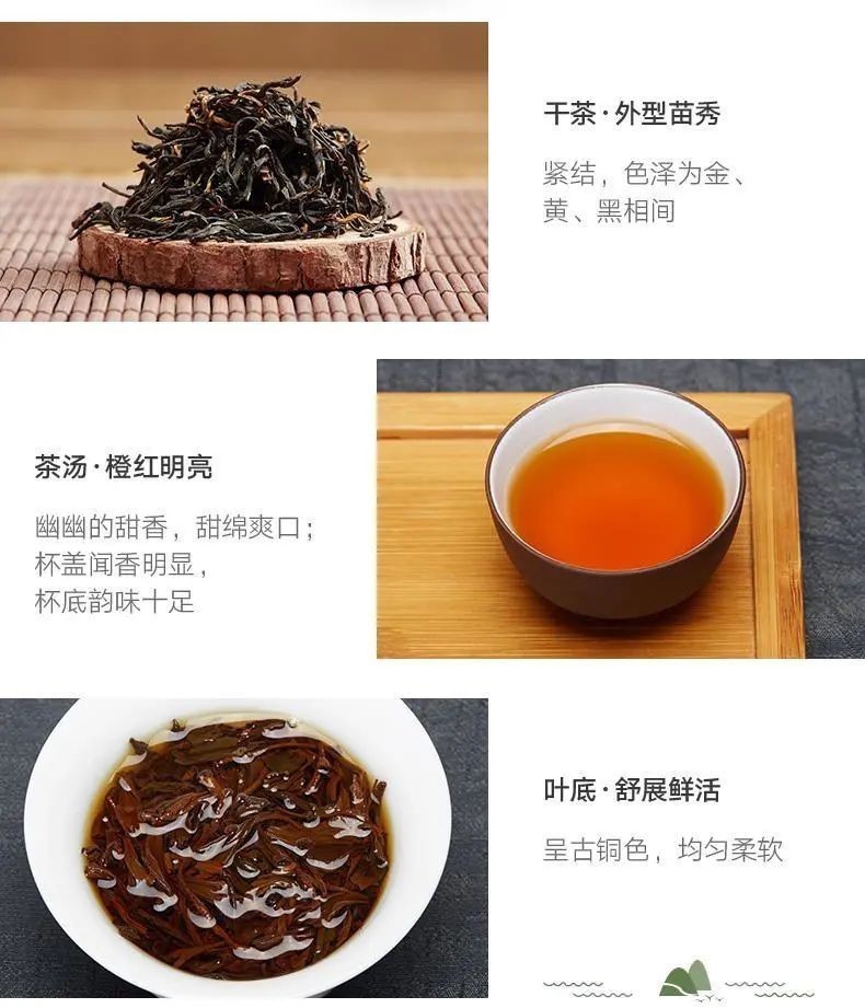 茶香|古田红茶:百年历史 茶香再次飘扬