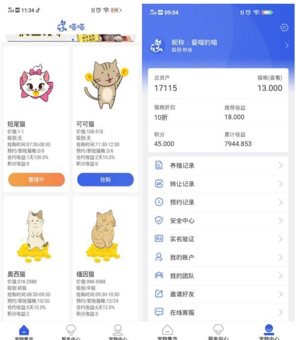 血本无归|还是老套路！6000多人被网上养猫平台骗得血本无归，损失上亿