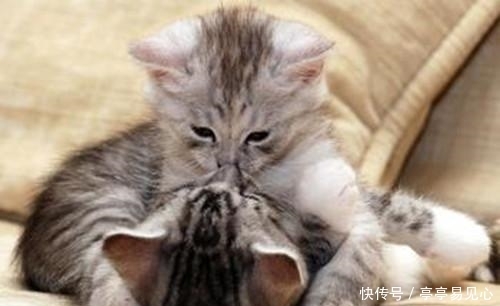 悄悄|悄悄跟你说:小短腿除了可爱,捡钱速度也更快