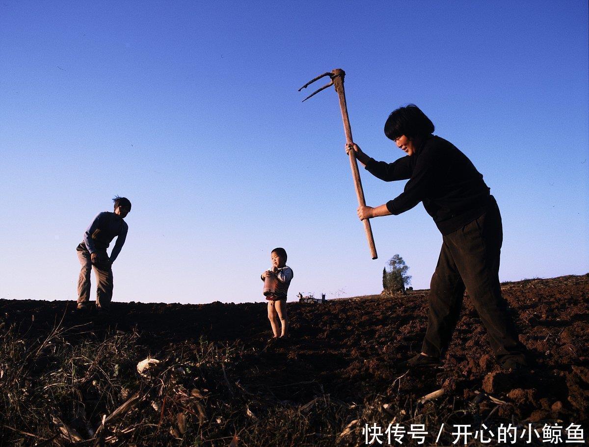 一亩地是多少平方米,很多老农民都不清楚,