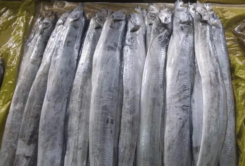  购买|买带鱼时，牢记4买3不买，摊主不敢忽悠你，个个都是好带鱼