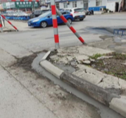  江阴|江阴有群“啄木鸟”，专干这件事！