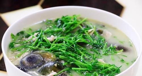  下饭|精选几道美味诱人的家常菜，好吃不腻人，爽口下饭，上桌抢着吃