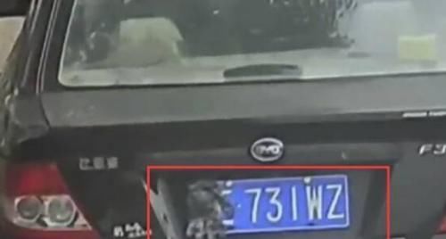  车主|车牌被盖了张报纸，交警查到扣12分，车主委屈：不是我干的