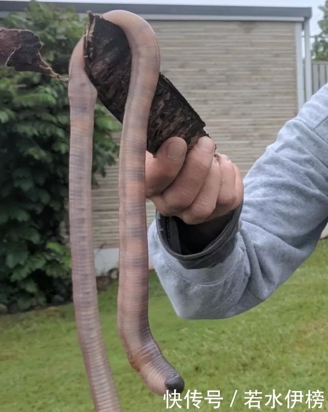  震撼|26张“活久见”的震撼图片，每一张都来之不易