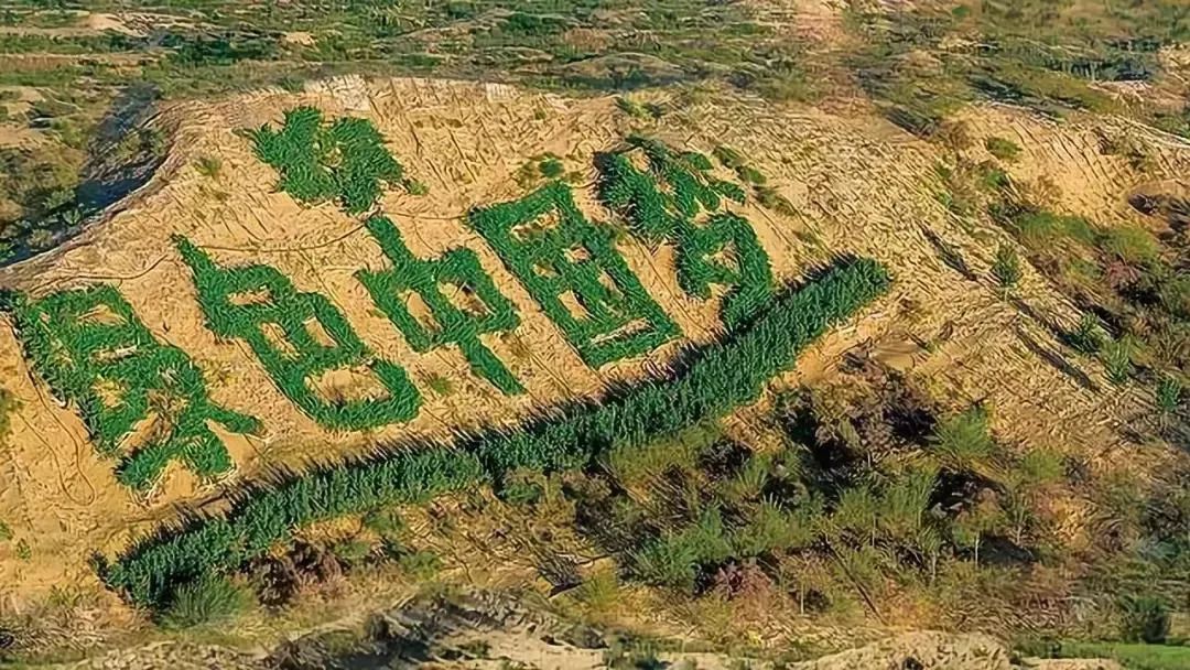  毛乌素地区|中国四大沙漠之一的“毛乌素沙漠”是怎么消失的