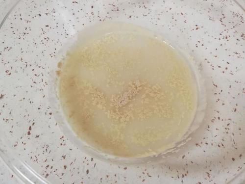  可口|这款面食，比馒头更美味，松软可口，家里的小孩子也超爱吃