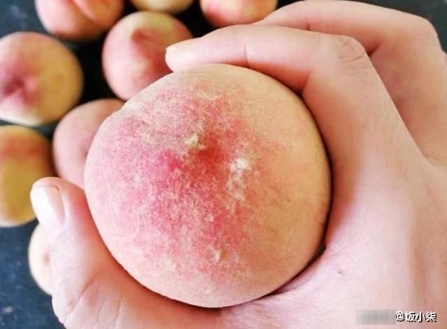  腐烂|买水蜜桃，挑软的好还是硬的好？不用纠结买哪种，看看就知道了