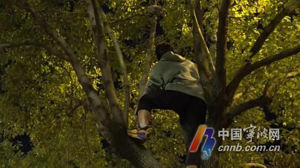 下不来|树上下不来、爬出窗外、车内被困…这3起出警都与孩子有关