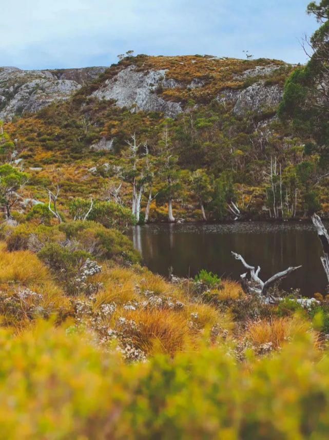  风景|塔斯马尼亚 | 世界尽头那颗绿色的心，是我念念不忘的风景