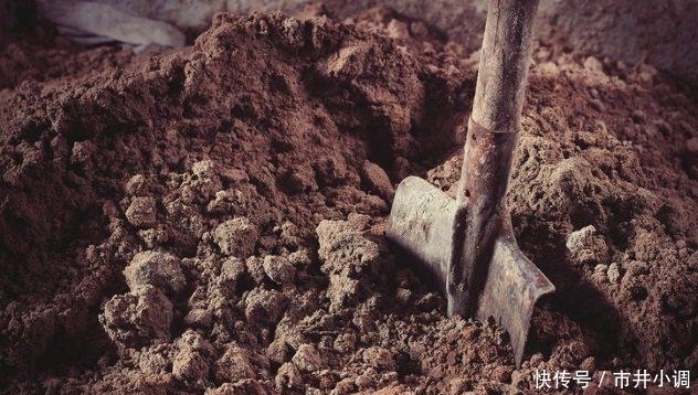 残忍|10个残忍的事迹