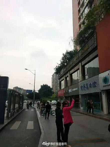  高空|“女子高空扔菜刀案”，判了！