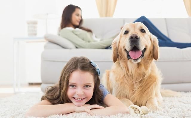 温顺|再温顺的宠物,也有可能伤到宝宝,饲养前想清楚3件事再做决定