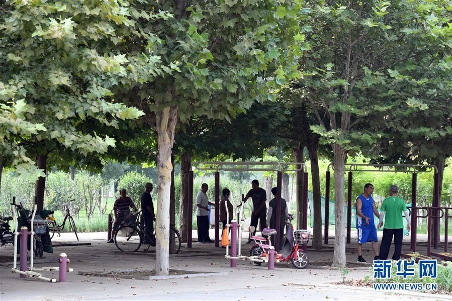  拍摄的天津|天津武清：湿地生态美