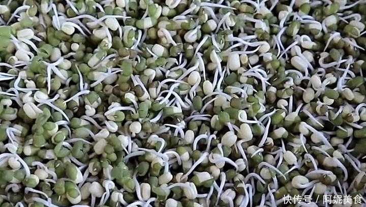  做法|想吃绿豆芽别再买，教你在家生，1碗绿豆生1大盆芽，做法超简单
