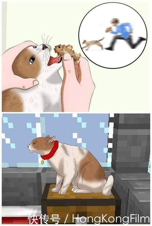 猪灵|我的世界:7张mc趣图,你眼里的猪灵是妹子?只是角度不一样