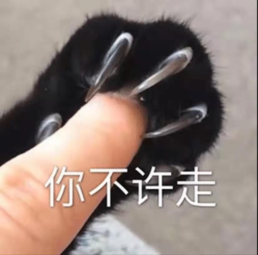  表情|沙雕表情包：老婆说她没生气（微笑脸）