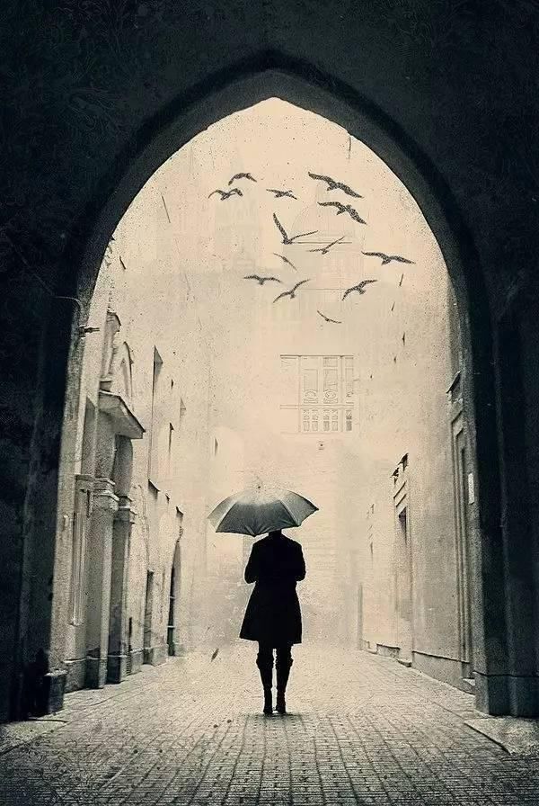  越来越好|爱情里能接吻就不要说话，能拥抱就不要吵架