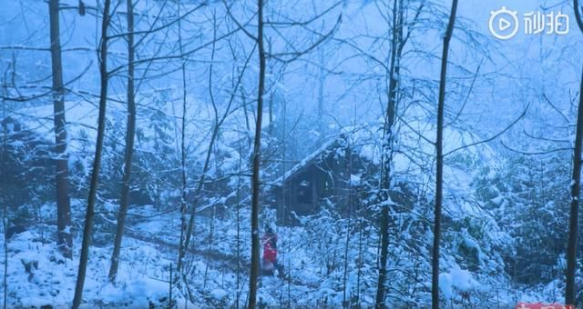  美食|学着将生活变得慢节奏，李子柒重回平武让美食梦想焕发光彩