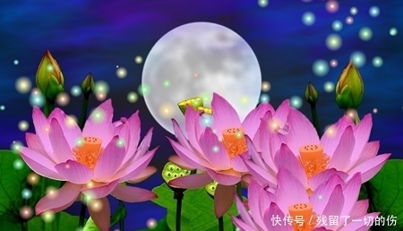 告别|九月喜鹊叫喜事来,三生肖告别坎坷,事业大突破,存款数字升值!